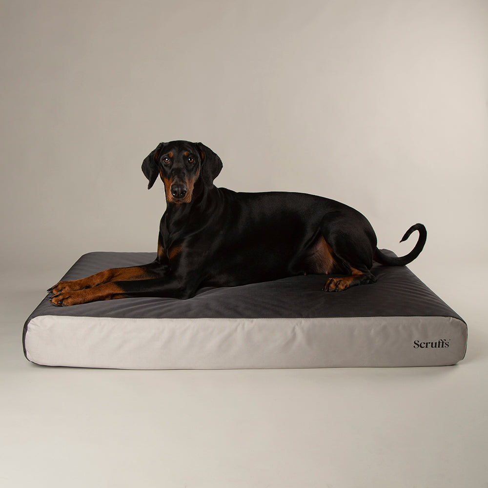 Scruffs ArmourDillo Orthopaedic Dog Bed