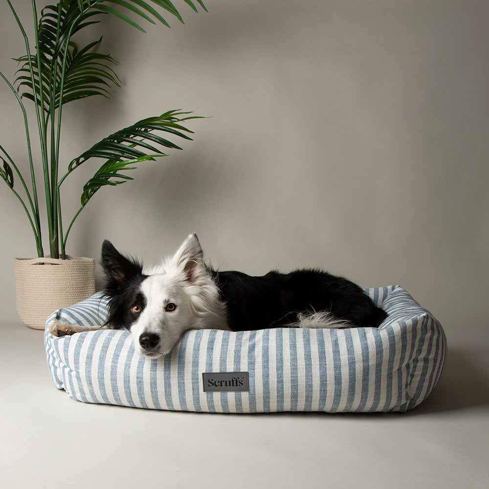 Scruffs® Coastal Box Bed