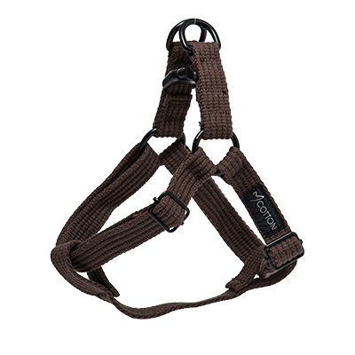 Gor Cotton Harness Large Brown 2.5cm