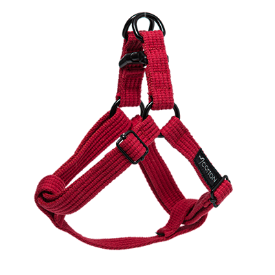 Gor Cotton Harness Large Red 2.5cm