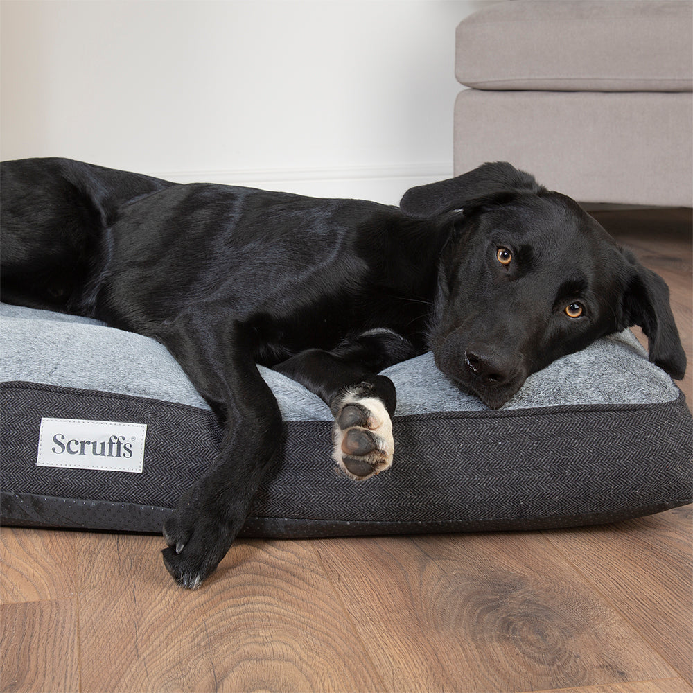 Scruffs® Harvard Memory Foam Mattress – HOUND-land