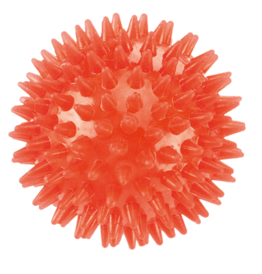 Gor Flex Squeaky Ball (9cm) Blue/Red